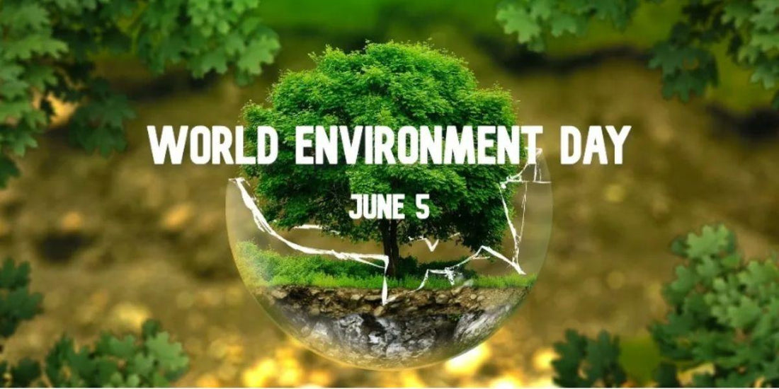 Celebrate World Environment Day with Sustainable doTERRA Essential Oils