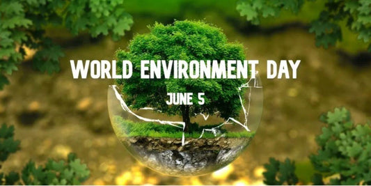 Celebrate World Environment Day with Sustainable doTERRA Essential Oils