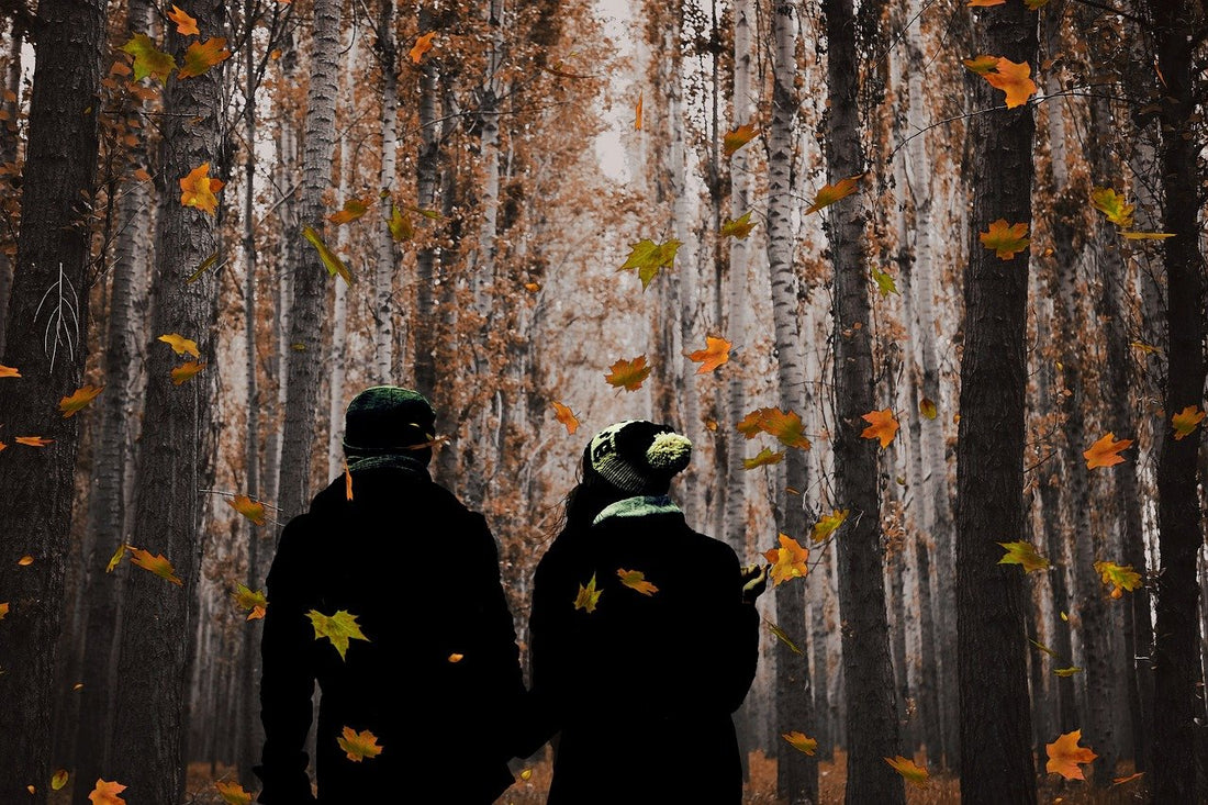 doTERRA Shinrin-Yoku™: Forest Bathing in a Bottle