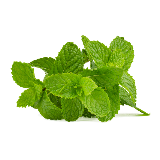 Spotlight On: doTERRA Supermint