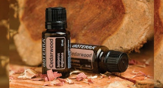 Spotlight On: doTERRA Cedarwood Oil