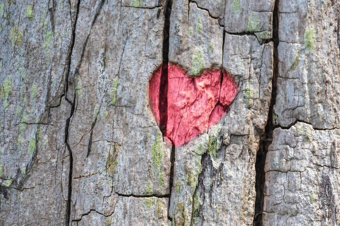 Emotional Healing with doTERRA Essential Oils