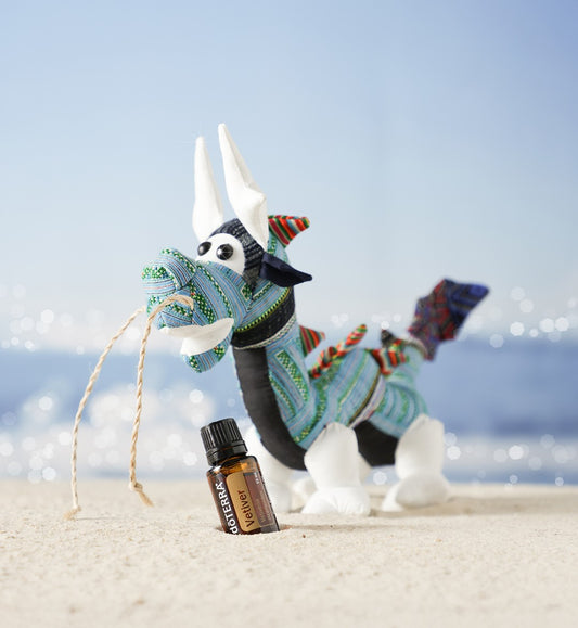 doTERRA Healing Hands Little Blue Bundle - Vetiver SOLD OUT!