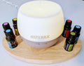 Five Favorites including Petal Diffuser + Easy Air and exclusive handcrafted display stand