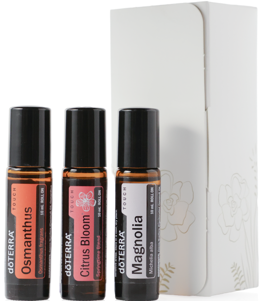 Touch Trio - Limited Time Offer